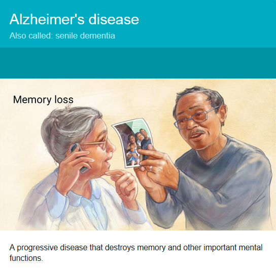 Alzheimer's Medical ID Bracelets – Universal Medical Data